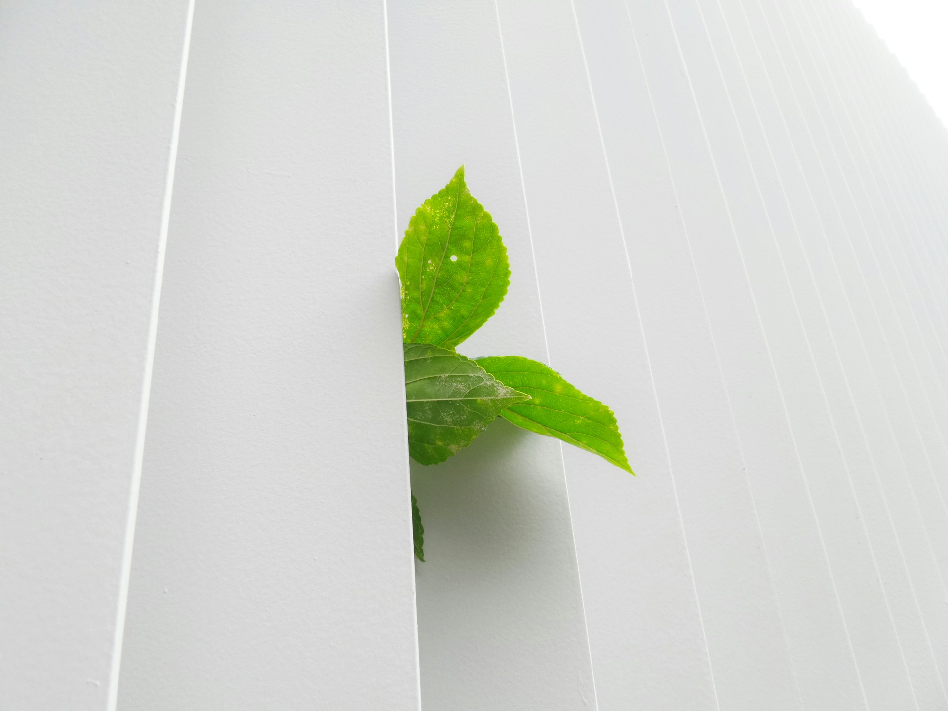 Energy saving incentives: new tax deductions for investments in enterprise modernization