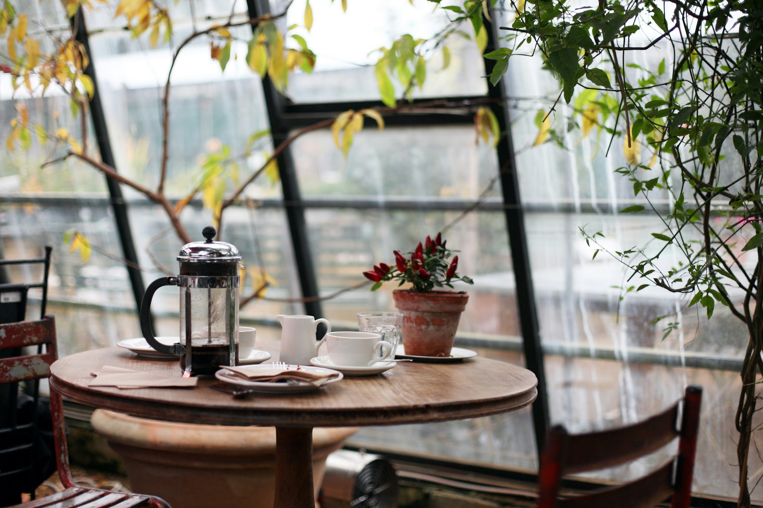 Legal Café REVERA Limassol
