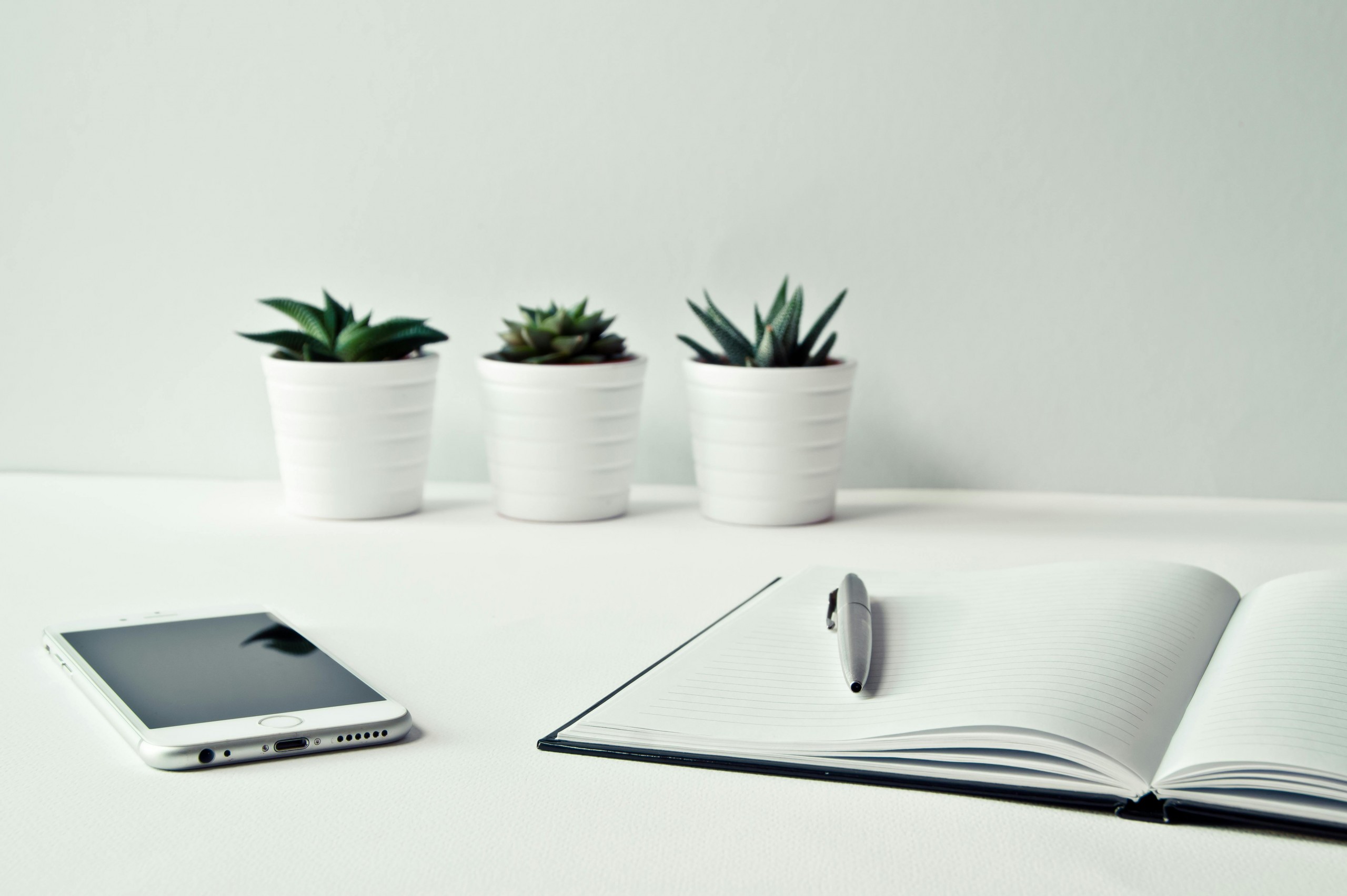 Credit Report: do you know something about?