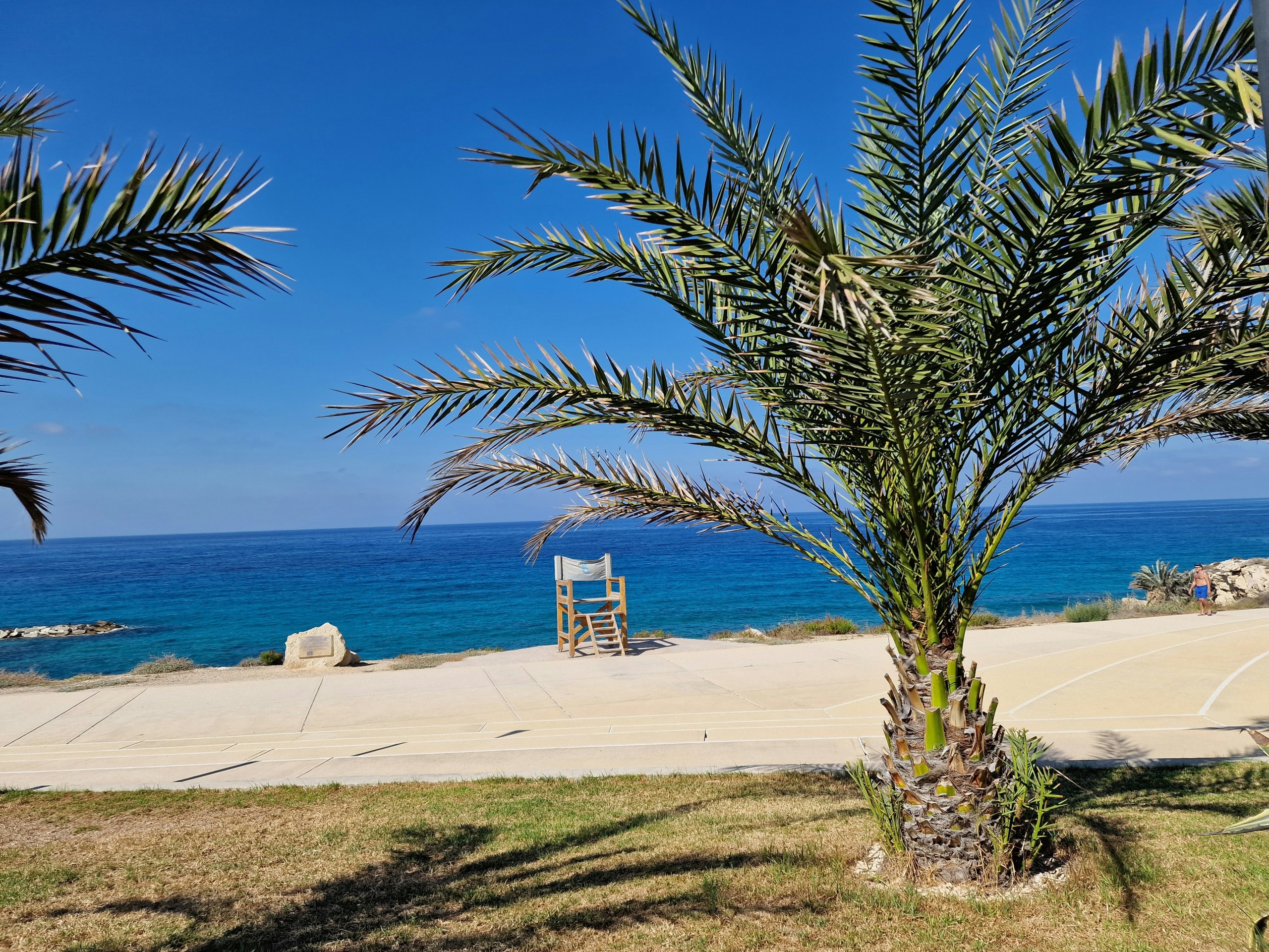 Cyprus EU Blue Card – Implications & Effectiveness