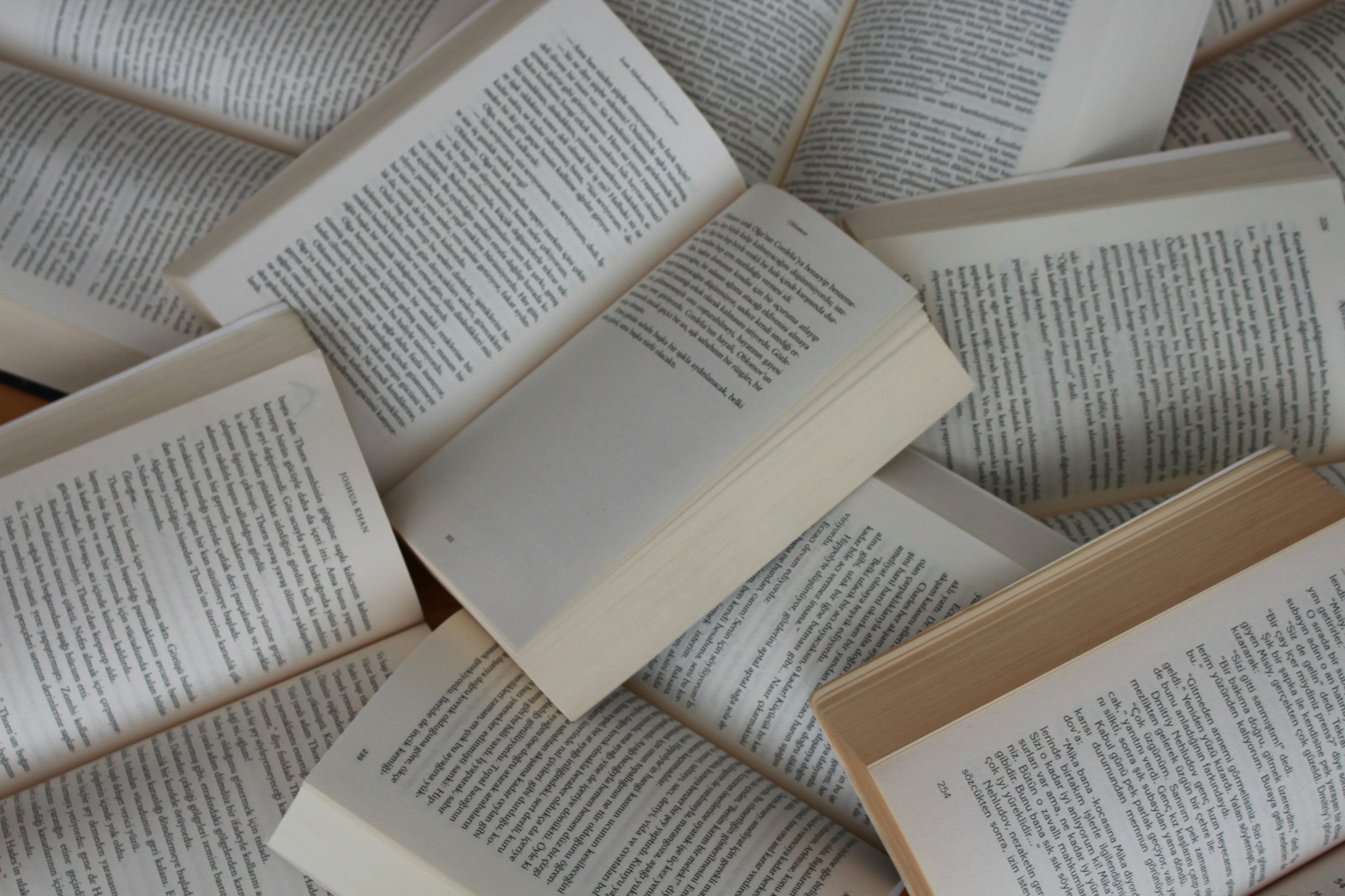 Landmark US Court Decision: AI Training on Books Recognised as Fair Use – What This Means for the Industry