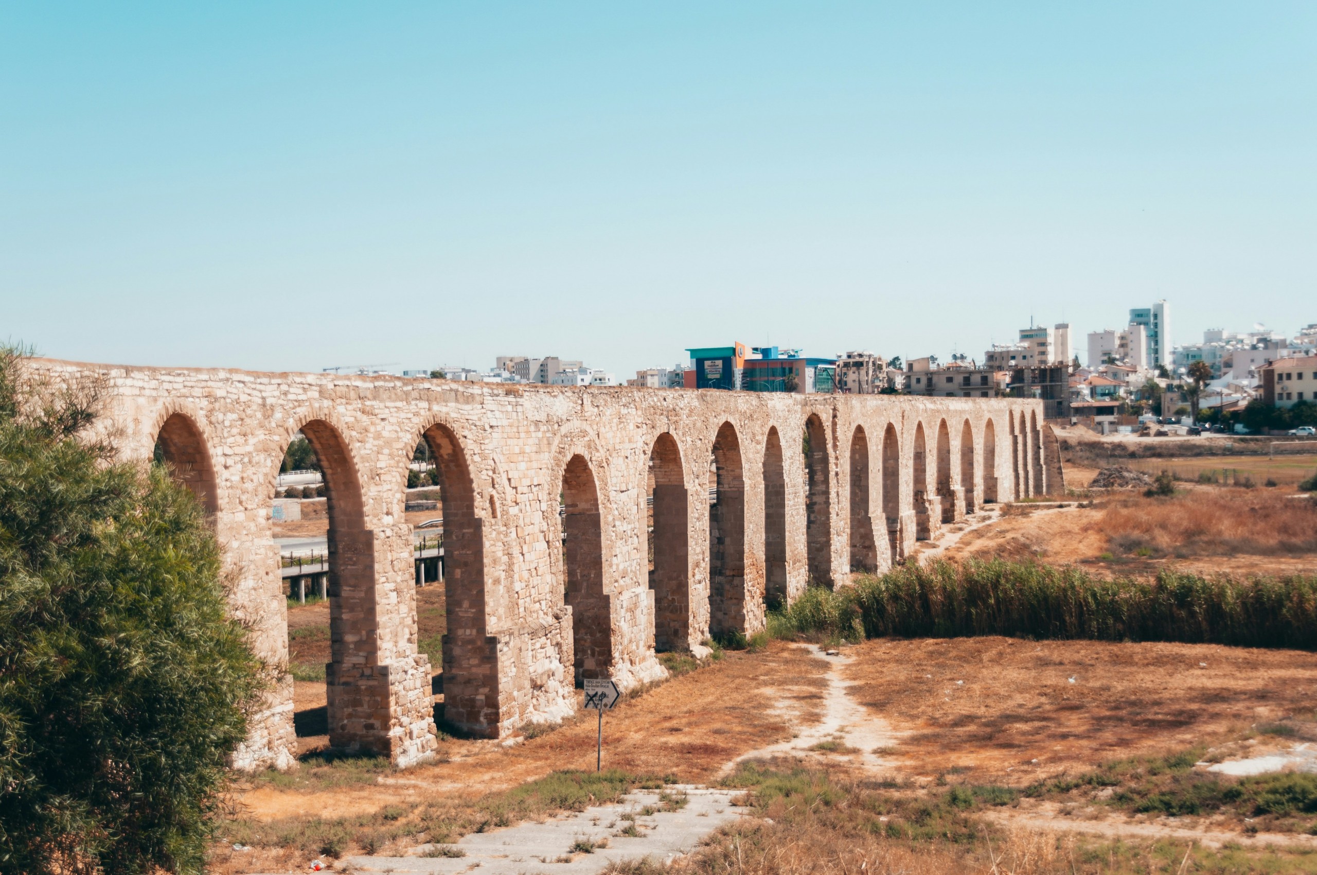 Recent Developments in Cypriot Citizenship Law: Naturalization of High-Skilled Professionals